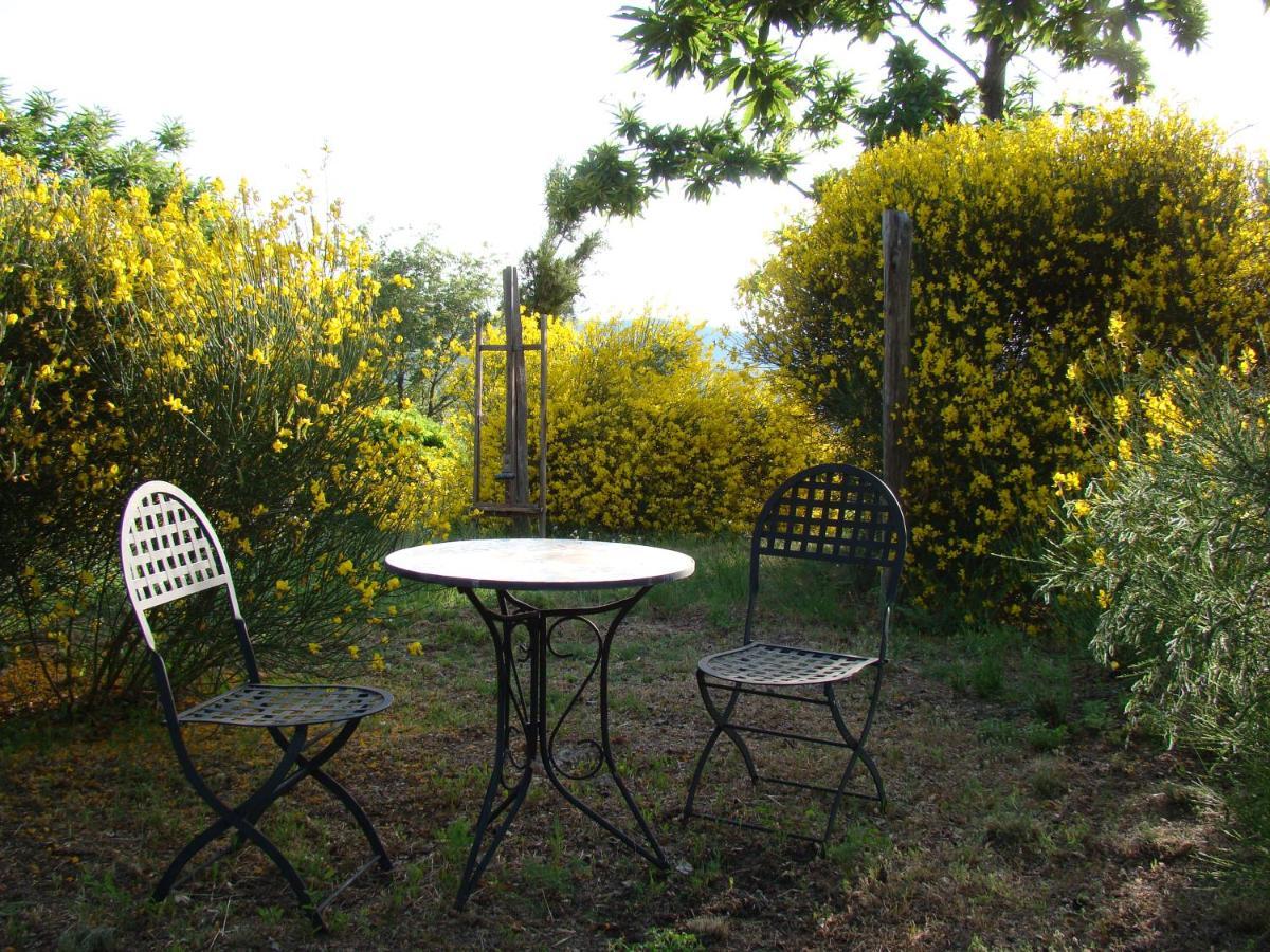 Borgo Tepolini Country House Castel del Piano  Exteriér fotografie