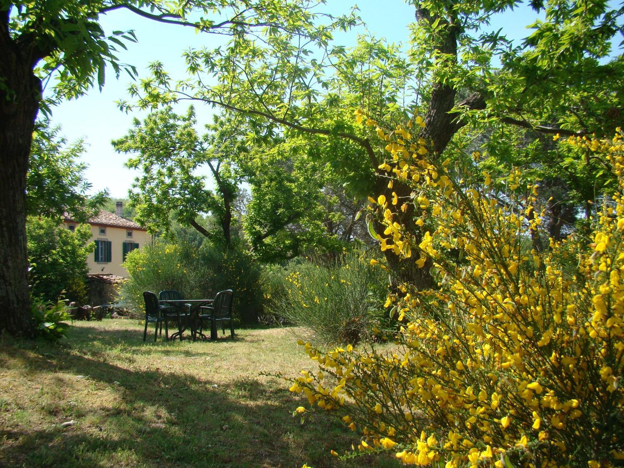 Borgo Tepolini Country House Castel del Piano  Exteriér fotografie